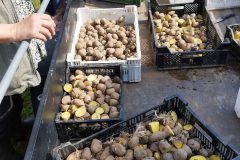 IMG_20230513_102511-scaled