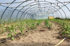 IMG_20230513_104036-scaled