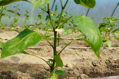 IMG_20230513_104046-scaled