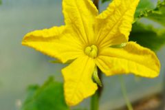 IMG_20230513_104108-scaled