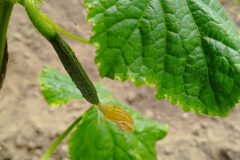 IMG_20230513_104149-scaled