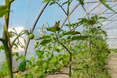 IMG_20230513_104240-scaled