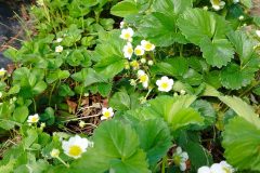 IMG_20230513_104334-scaled