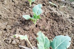 IMG_20230513_110904-scaled