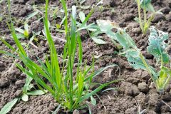 IMG_20230513_110912-scaled