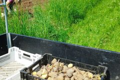 IMG_20230513_111345-scaled