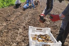 IMG_20230513_111410-scaled