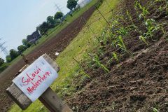 IMG_20230513_111541-scaled