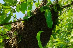 IMG_20230513_132706-scaled